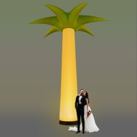 1 Tagestarif airPALM 5,5m